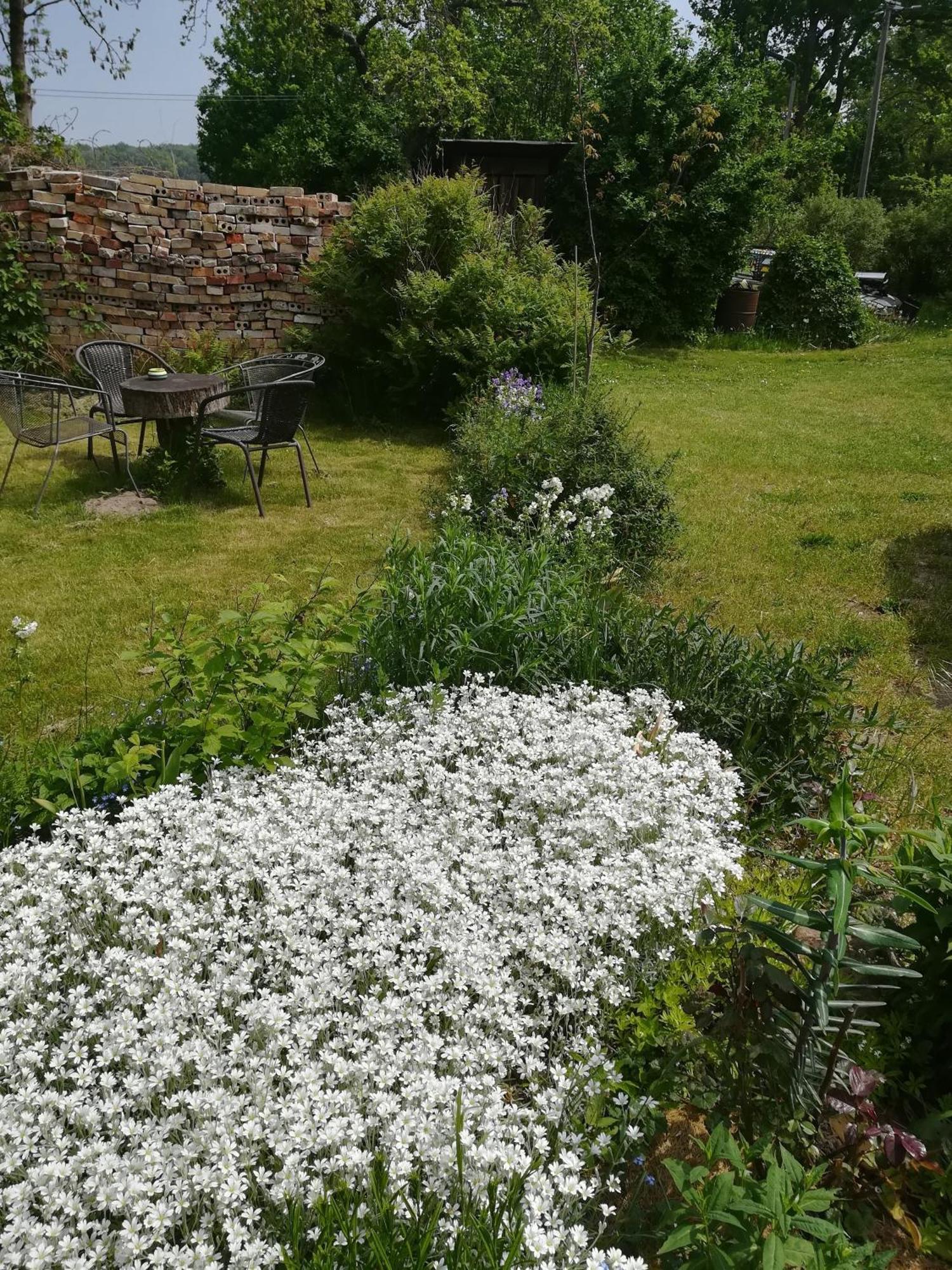 Ferien In Der Scheune Dettmannsdorf ภายนอก รูปภาพ