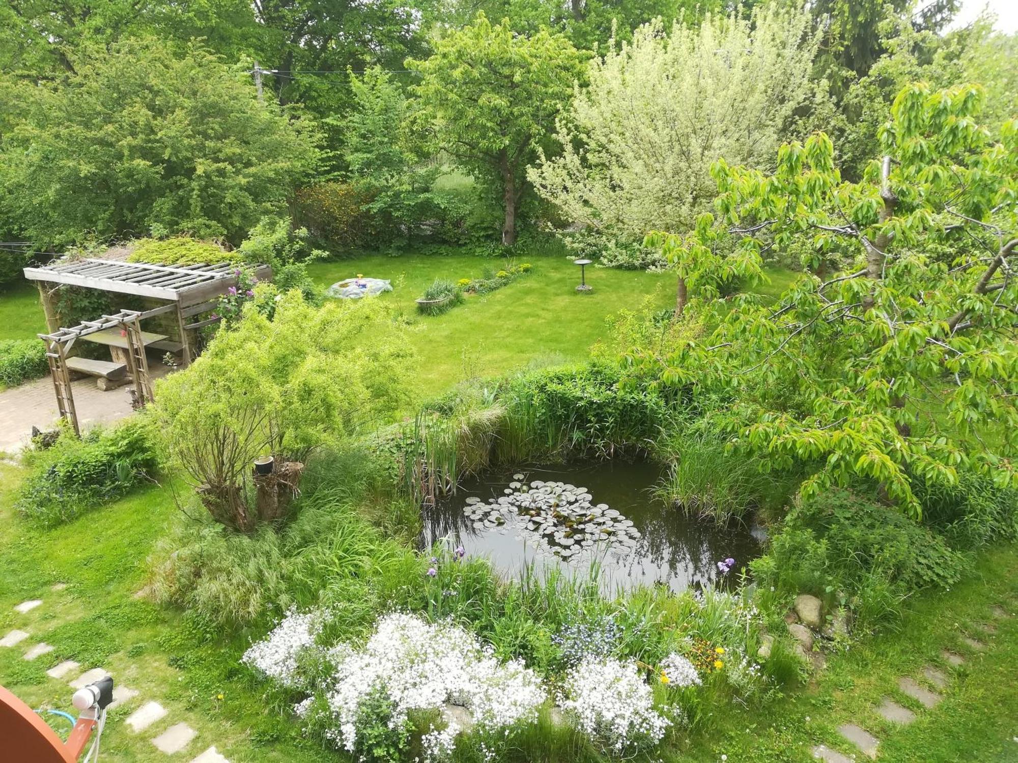 Ferien In Der Scheune Dettmannsdorf ภายนอก รูปภาพ